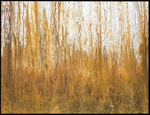 Golden Mystique by Dennis Sheil